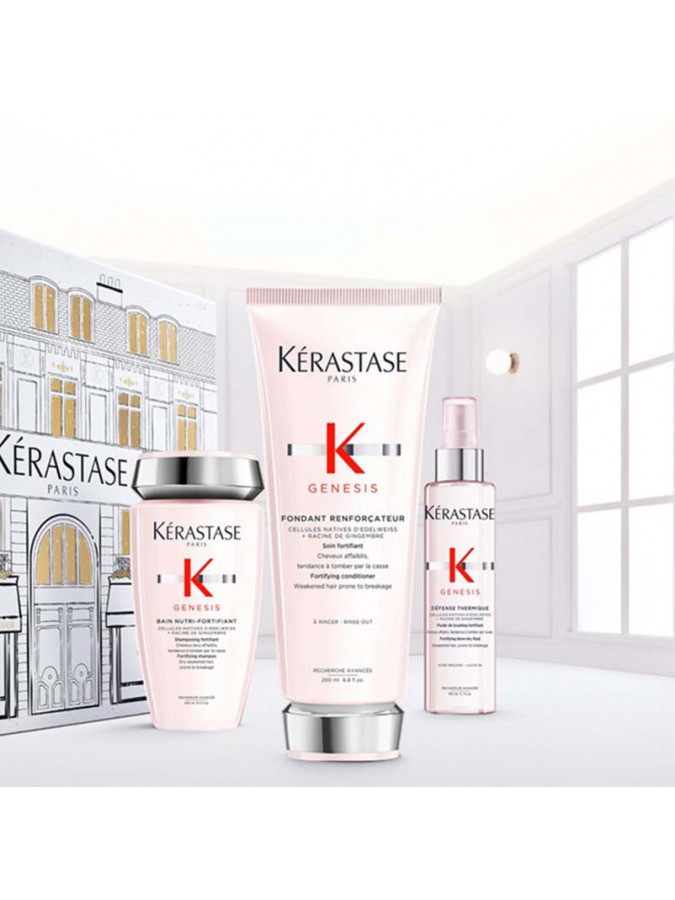 K GENESIS K GENESIS FONDANT HOLIDAYS